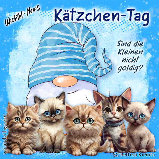 htel-News: Kätzchen-Tag