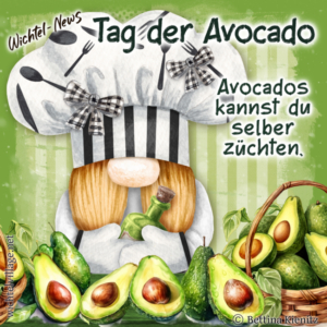 Wichtel-News: Tag der Avocado