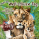 Wichtel-News: Welt-Löwen-Tag