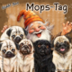 Wichtel-News: Mops-Tag