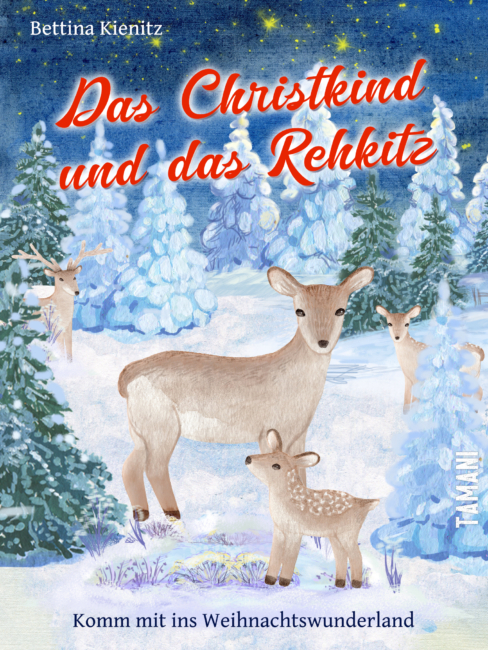 Weihnachtsgeschichte im E-Book-Format