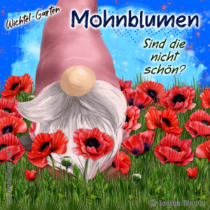 Wichtel-Garten: Mohnblumen