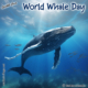 Wichtel-News: World Whale Day