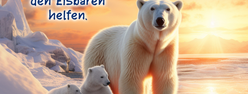 Wichtel-News: Welttag der Eisbären