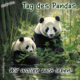 Wichtel-News: Tag des Pandas