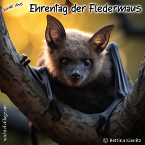 Wichtel-News: Ehrentag der Fledermaus