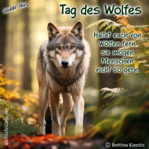 Wichtel-News: Tag des Wolfes
