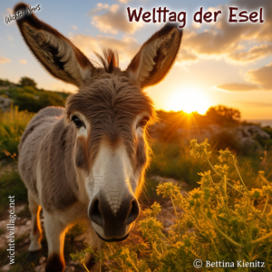 Wichtel-News: Welttag der Esel