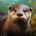 Wichtel-News: Welt-Otter-Tag