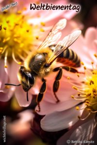 Wichtel-News - Weltbienentag