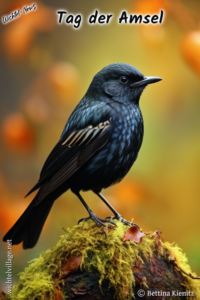 Wichtel-News - Bundesweiter Tag der Amsel