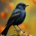 Wichtel-News - Bundesweiter Tag der Amsel