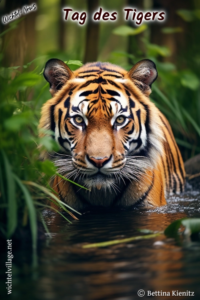 Wichtel-News - Internationaler Tag des Tigers