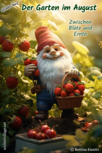 Wichtel-News - Der Garten im August
