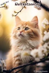Wichtel-News - Weltkatzentag