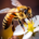 Wichtel-News - Tag der Honigbiene