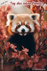 Wichtel-News - Tag des Roten Pandas