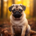 Wichtel-News - Mops-Tag
