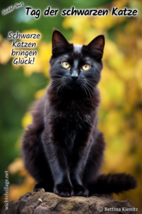 Wichtel-News - Tag der schwarzen Katze