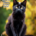 Wichtel-News - Tag der schwarzen Katze