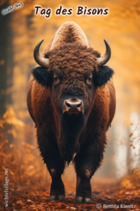 Wichtel-News - Tag des Bisons