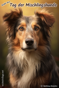 Wichtel-News - Tag der Mischlingshunde
