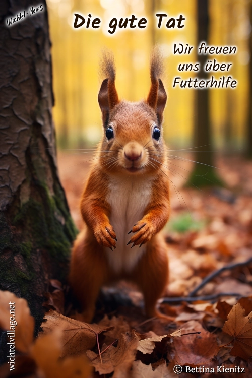 Wichtel-News - Die gute Tat - Eichhörnchen
