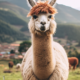 Wichtel-News - Tag des Lamas