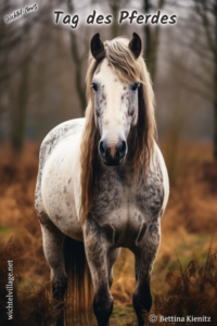 Wichtel-News - Tag des Pferdes
