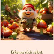 Erkenne dich selbst.