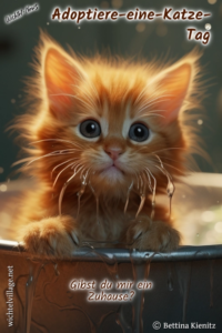 Wichtel-News - Adoptiere-eine-Katze-Tag