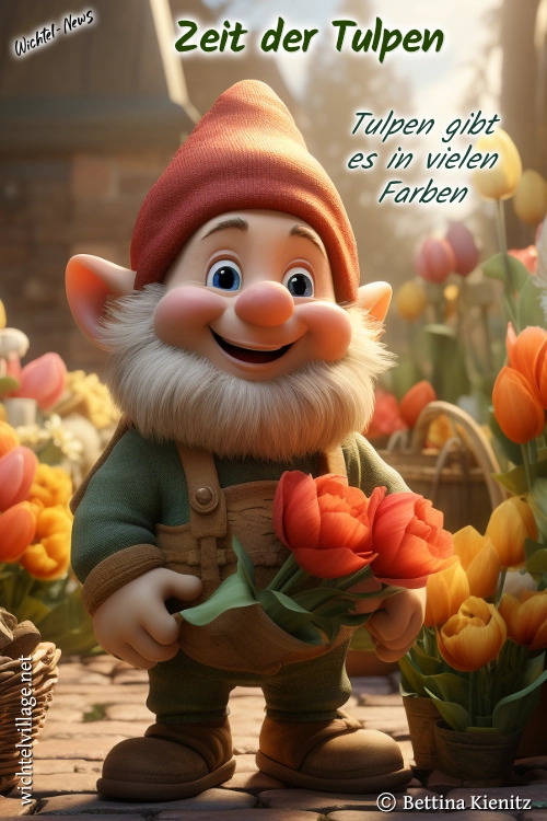 Wichtel-News - Zeit der Tulpen