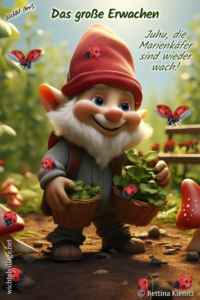 Wichtel-News - Das große Erwachen