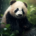 Wichtel-News - Tag des Pandas