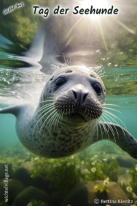 Wichtel-News - Internationaler Tag der Seehunde
