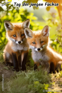 Wichtel-News - Tag der jungen Füchse