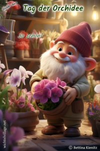 Wichtel-News - Tag der Orchidee