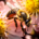 Wichtel-News - Weltbienentag