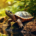 Wichtel-News - Weltschildkrötentag