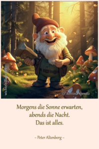 Morgens die Sonne erwarten