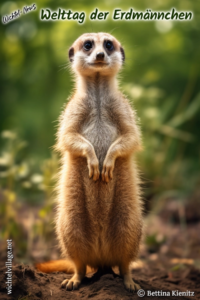 Wichtel-News - Welttag der Erdmännchen