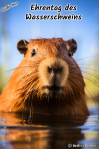 Wichtel-News - Ehrentag des Wasserschweins