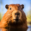 Wichtel-News - Ehrentag des Wasserschweins