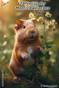 Wichtel-News - Ehrentag der Meerschweinchen