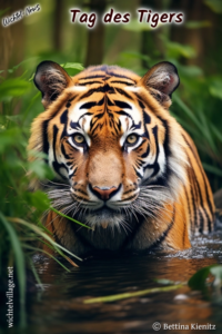 Wichtel-News - Internationaler Tag des Tigers