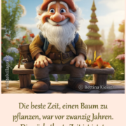 Die beste Zeit, einen Baum zu pflanzen