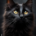 Wichtel-News - Ehrentag der schwarzen Katze