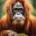 Wichtel-News - Internationaler Tag des Orang-Utans