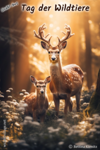 Wichtel-News -Tag der Wildtiere