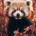Wichtel-News - Tag des Roten Pandas